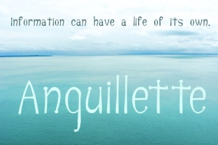 Anguillette: A Serif Font for Modern Digital Branding