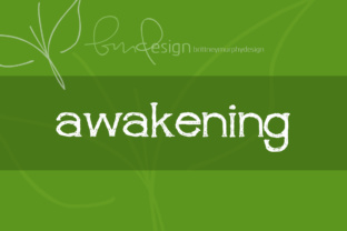 Awakening: A Bold Decorative Font with Character