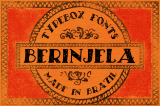 Berinjela: A Script Handwritten Font for Campaigns That Speak with Soul