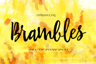 Brambles for Creative Campaigns and Brand Identity