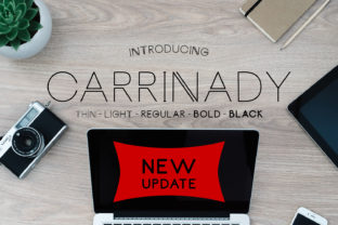 Carrinady: A Modern Sans Serif for Editorial Design and Branding