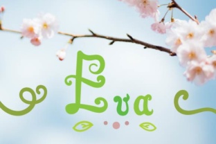 Eva Script: A Versatile Script Font for Handmade Creators