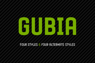 Gubia Family: A Modern Sans Serif Font for Creative Crafters and Product Makers