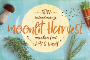 Moonlit Harvest: A Script Font for Elegant Design