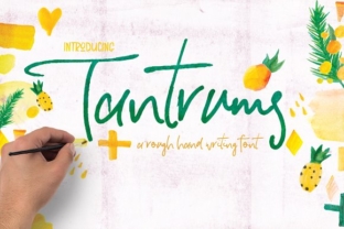 Tantrums: A Script Handwritten Font for Web Design and Branding