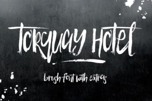 Torquay Hotel: A Script Handwritten Font for Branding That Speaks
