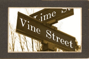 Vine Street Font for Small Business Branding and Design